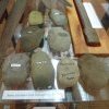 Stone axe heads found Burragorang Valley, courtesy of Camden Museum